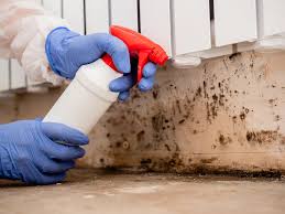 Best Biohazard Mold Removal  in Wilkesboro, NC